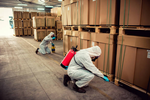 Best Exterminator Services  in Calais, ME